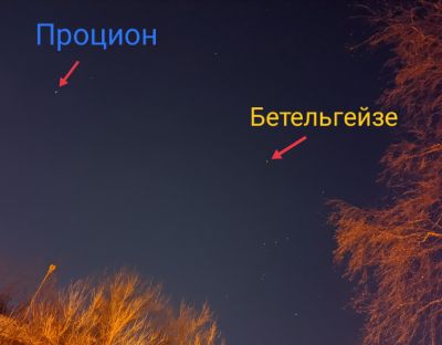 Бетельгейзе и Процион