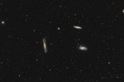 leo triplet (2022)