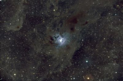 NGC 7023 Ирис
