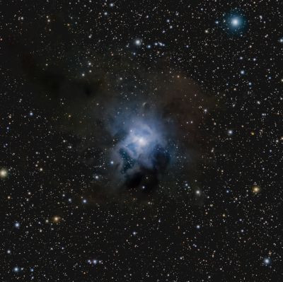 Iris Nebula - Astrophotography