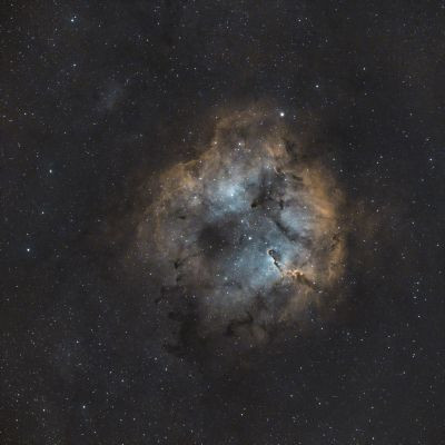 IC 1396 "хобот слона"