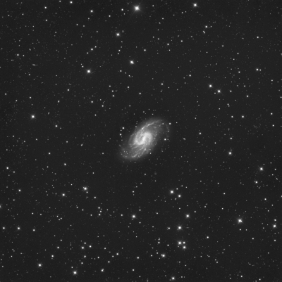 NGC 3359