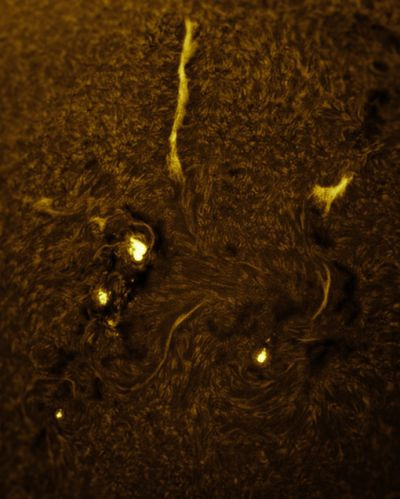 AR 4274 - Sun in H-Alpha