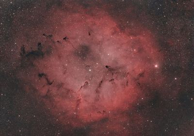 IC1396 - Astrophotography