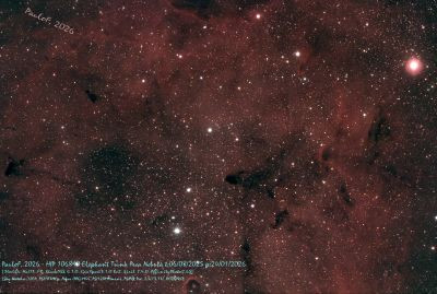 IC1396 - HIP106890 - Astrophotography