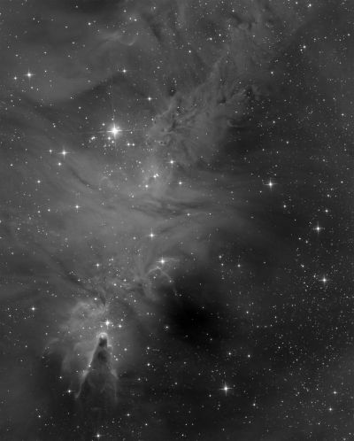 Fox Fur and Cone nebulas