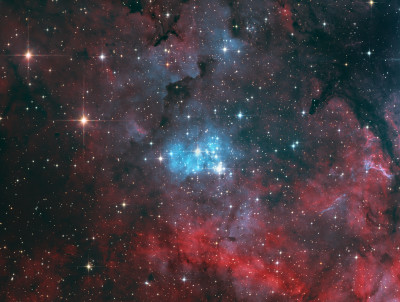 Open cluster NGC6910, aka the Little Horse. - Astrophotography