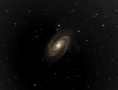 M81