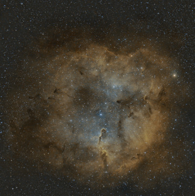 IC 1396 - Хобот слона
