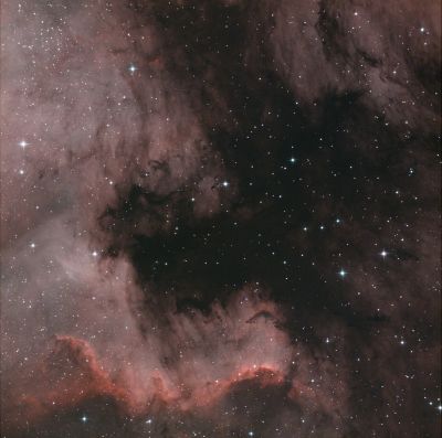 NGC 7000