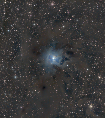 Отражательная туманность Ирис, ngc 7023