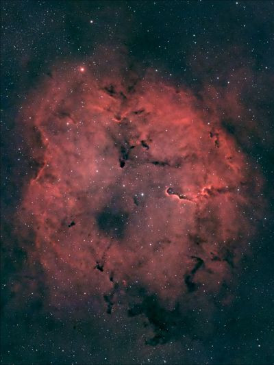 IC 1396 Elephant's Trunk - Astrophotography