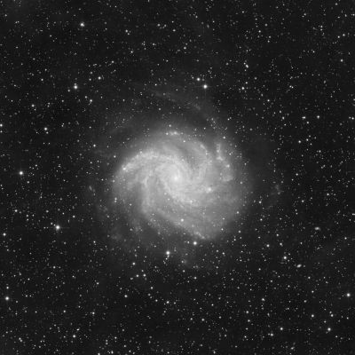 Galaxy NGC6946 in the constellation Cepheus in L - Astrophotography