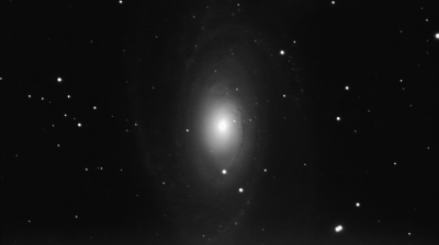 M81