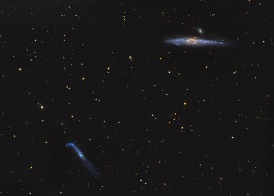 Галактики Кит и Хоккейная клюшка. The Whale (NGC 4631) and the Hockey Stick (NGC 4656) galaxies. - астрофотография
