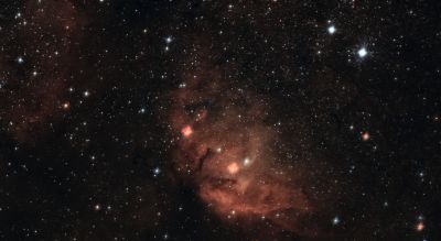 SH 2-101 Тюльпан