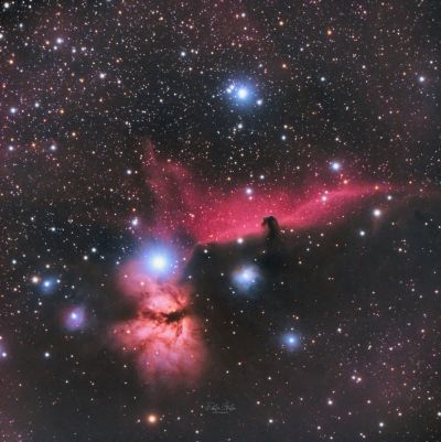Horsehead & Flame nebulae