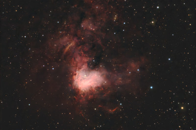 NGC1491