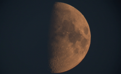 Пролет птицы на фоне растущей Луны 60%. 23.09.23. Gif