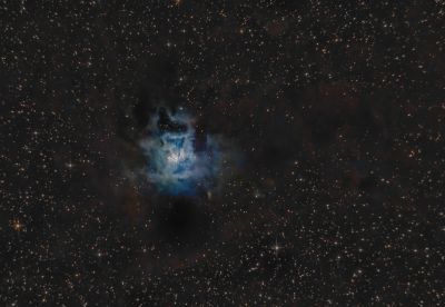 NGC 7023 - Iris nebula
