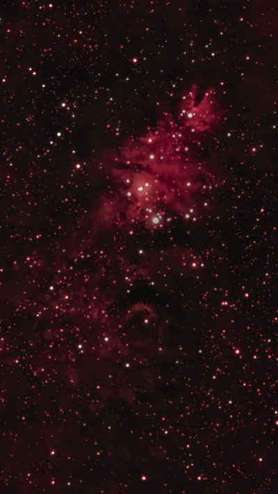 NGC 2264 