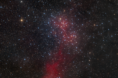 Wishing Well Cluster (NGC 3532)
