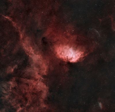 "Тюльпан" Sh2-101