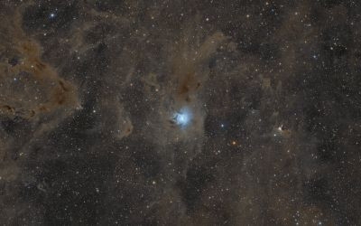 NGC 7023 - Iris Nebula - Astrophotography