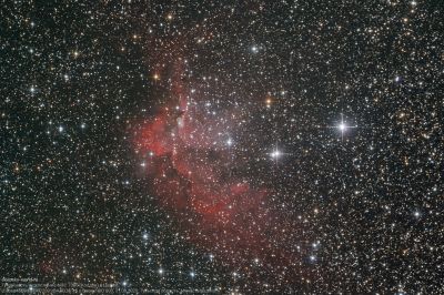 Туманность и скопление NGC 7380 (Колдун) в Цефее