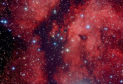 IC 1318 - Butterfly Nebula
