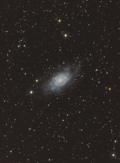NGC 2403