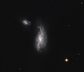 NGC4490 galaxie du cocon