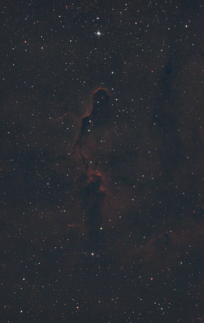 Туманность "Хобот слона"