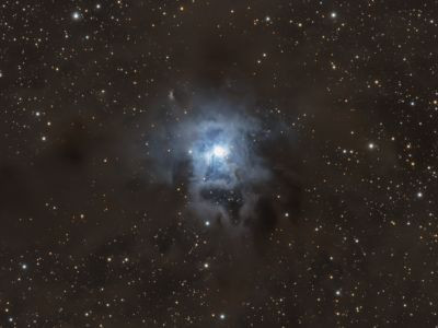 Caldwell 4 - Astrophotography