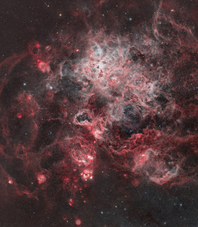 The Tarantula Nebula (NGC 2070)