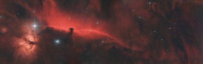NGC 2024 & Horsehead Nebula