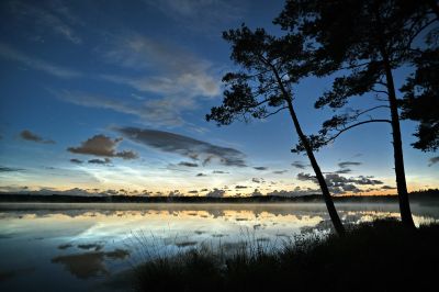 Серебро 07.2022