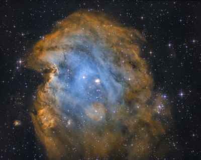 Monkey head nebula