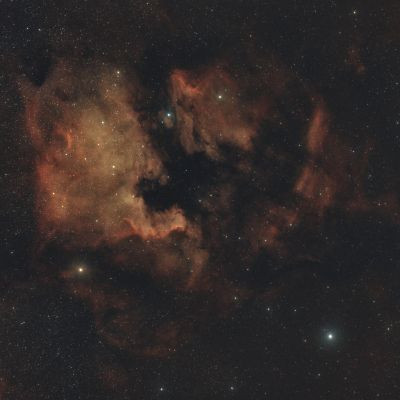 NGC 7000 "Северная америка,Пеликан"