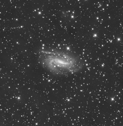 NGC 925