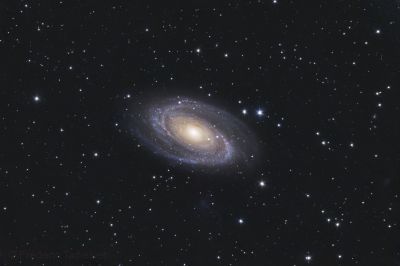 M81