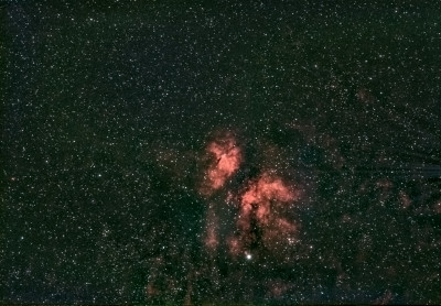 IC 1318 