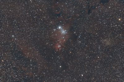 NGC2264
