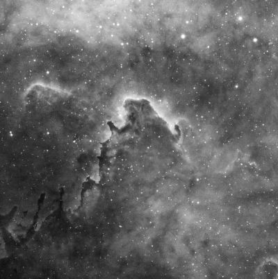 Bedsheet ghost/Angry beaver (Dobashi 0782)