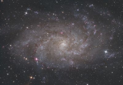 M33