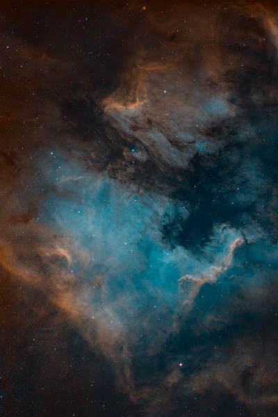 The North America Nebula
