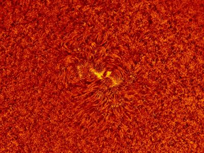 2018.05.13 Sun AR12709 H-Alpha animation