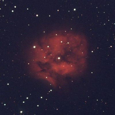 C19. Cocoon. - Astrophotography
