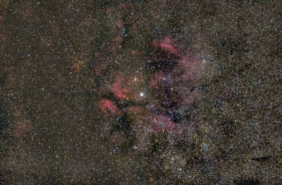 IC 1318 (бабочка)