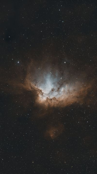 Wizard Nebula